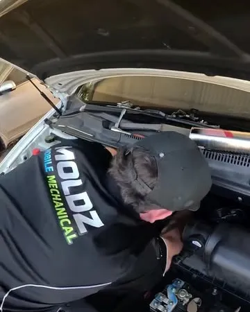 673858391 17864482452677757 1349621936167802202 N
